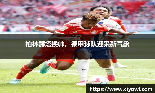 米兰体育平台