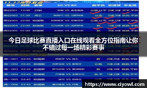 今日足球比赛直播入口在线观看全方位指南让你不错过每一场精彩赛事