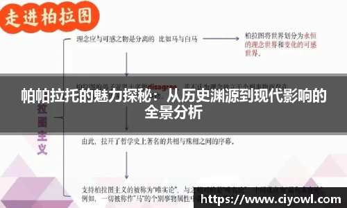 帕帕拉托的魅力探秘：从历史渊源到现代影响的全景分析